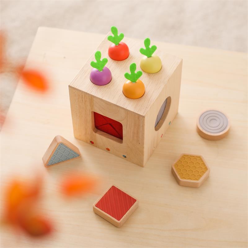 Touch and Feel Carrot Box | Wooden Educational Toy for Toddlers