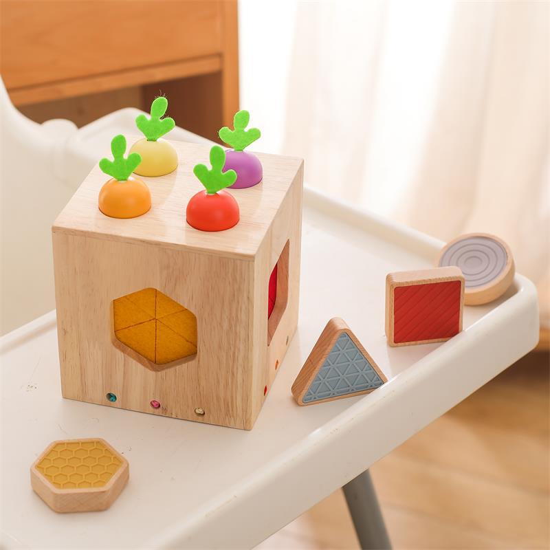 Touch and Feel Carrot Box | Wooden Educational Toy for Toddlers