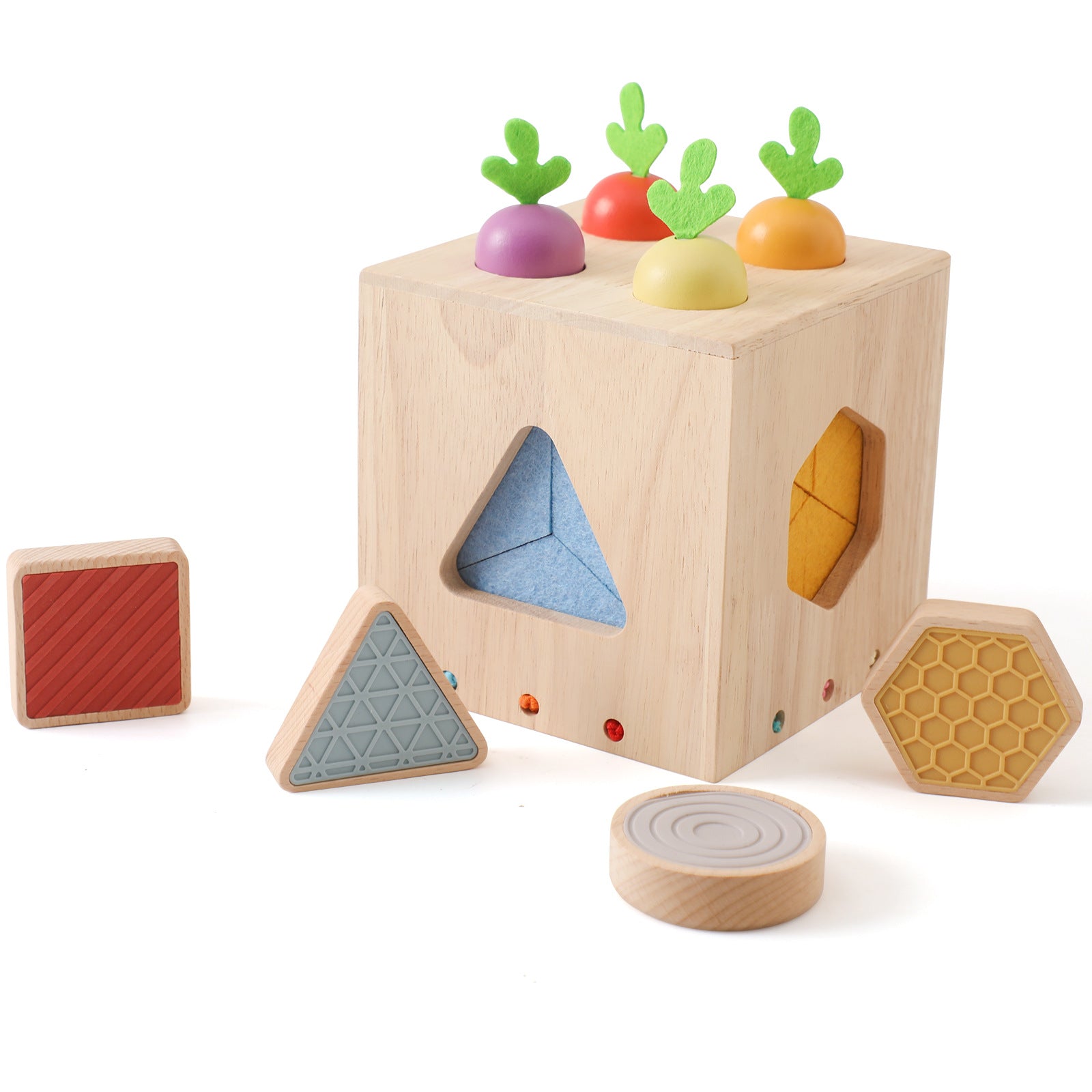 Touch and Feel Carrot Box | Wooden Educational Toy for Toddlers